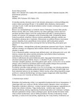 Mažos įmonės kūrimas 3 puslapis