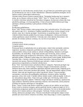 Mažos įmonės kūrimas 4 puslapis