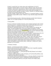 Mažos įmonės kūrimas 5 puslapis