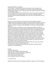 Mažos įmonės kūrimas 7 puslapis