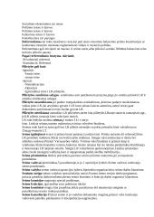 Konstitucinė teisė, špera 2 puslapis