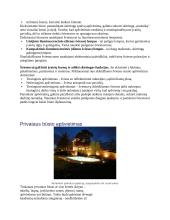 Referatas, kaip parinkti apšvietimą patalpoms 4 puslapis