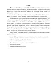 Turizmo teorija 2 puslapis