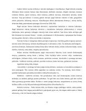 Turizmo teorija 11 puslapis