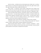 Turizmo teorija 12 puslapis