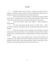 Turizmo teorija 13 puslapis