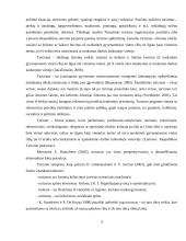 Turizmo teorija 4 puslapis