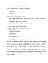 Turizmo teorija 10 puslapis