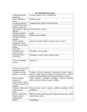 Enterokolitas 3 puslapis