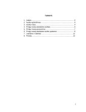 Pinigų srautų apskaitos auditas 2 puslapis