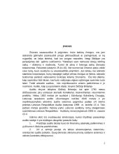 Pinigų srautų apskaitos auditas 3 puslapis