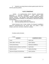Pinigų srautų apskaitos auditas 4 puslapis