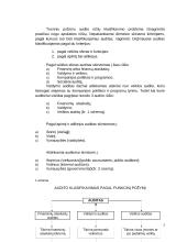 Pinigų srautų apskaitos auditas 5 puslapis