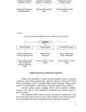 Pinigų srautų apskaitos auditas 6 puslapis
