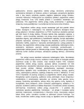 Pinigų srautų apskaitos auditas 8 puslapis