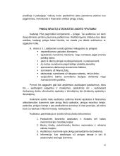 Pinigų srautų apskaitos auditas 10 puslapis