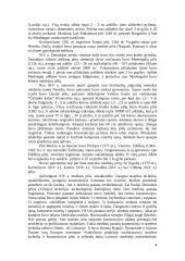 Lietuvos pilys referatas 4 puslapis