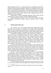 Lietuvos pilys referatas 5 puslapis