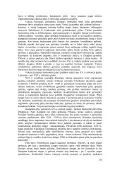 Lietuvos pilys referatas 10 puslapis