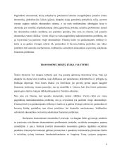 Globalizacija ir ekonominės krizės 6 puslapis