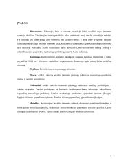 Bevielio interneto paslaugų kokybės gerinimas 2 puslapis