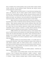 Bevielio interneto paslaugų kokybės gerinimas 13 puslapis