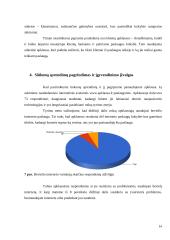 Bevielio interneto paslaugų kokybės gerinimas 14 puslapis