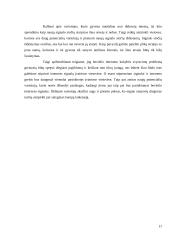 Bevielio interneto paslaugų kokybės gerinimas 17 puslapis