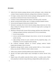 Bevielio interneto paslaugų kokybės gerinimas 18 puslapis