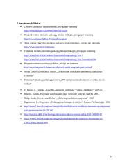 Bevielio interneto paslaugų kokybės gerinimas 19 puslapis