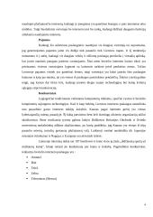 Bevielio interneto paslaugų kokybės gerinimas 4 puslapis