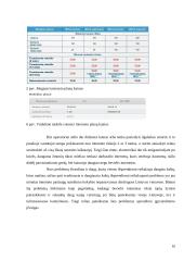 Bevielio interneto paslaugų kokybės gerinimas 10 puslapis