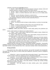 Farmacinės botanikos konspektas 9 puslapis