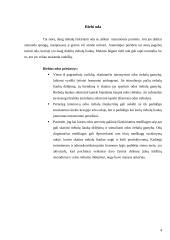 Kaip prižiūrėti riebią odą? 4 puslapis