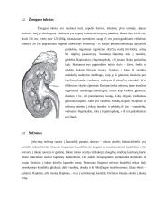 Šalinimas ir tuštinimasis 5 puslapis