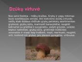 Dzūkijos tradiciniai gaminiai 2 puslapis