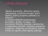 Dzūkijos tradiciniai gaminiai 12 puslapis