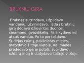 Dzūkijos tradiciniai gaminiai 13 puslapis