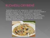 Dzūkijos tradiciniai gaminiai 10 puslapis