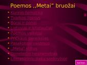 K. Donelaitis skaidrės 12 puslapis