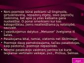 K. Donelaitis skaidrės 14 puslapis