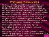 K. Donelaitis skaidrės 20 puslapis