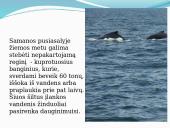 Karibų turistiniai ištekliai 20 puslapis