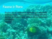 Karibų turistiniai ištekliai 9 puslapis