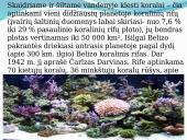 Karibų turistiniai ištekliai 10 puslapis