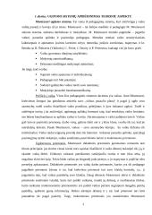 Ikimokyklinio ugdymo stebimoji praktika 3 puslapis