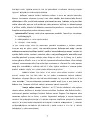 Ikimokyklinio ugdymo stebimoji praktika 4 puslapis