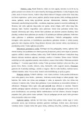 Ikimokyklinio ugdymo stebimoji praktika 5 puslapis