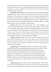 Ikimokyklinio ugdymo stebimoji praktika 6 puslapis