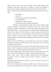 Mokinių, turinčių specialiųjų ugdymosi poreikių, psichologiniai ypatumai 5 puslapis